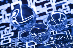 上海市网络文化经营许可证办理全流程指南