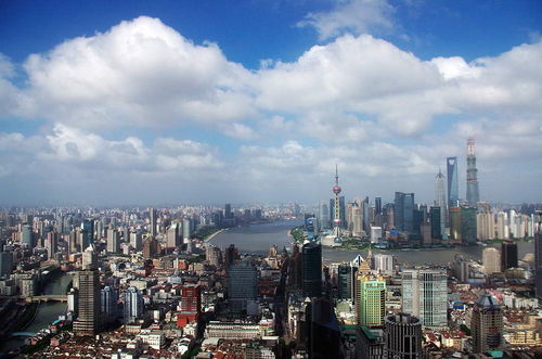 上海《网络文化经营许可证》办理全流程指南